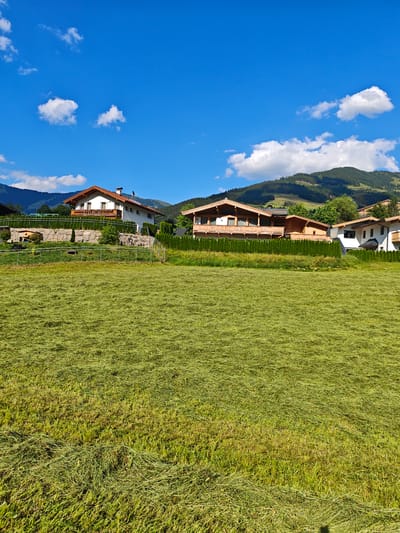 The image depicts a sunny day in Hütte, Austria, with a clear blue sky dotted with fluffy white clouds. In the foreground, a vast field of freshly cut grass stretches out, its green blades lying in swathes, indicating recent mowing. Behind the field, a row of modern houses with wooden accents and red-tiled roofs are nestled against a backdrop of lush green hills and mountains. A manicured hedge lines the properties, separating them from the field. The architecture of the houses suggests a contemporary alpine style, with balconies and large windows. The overall scene conveys a sense of rural tranquility and well-maintained property in a mountainous region.