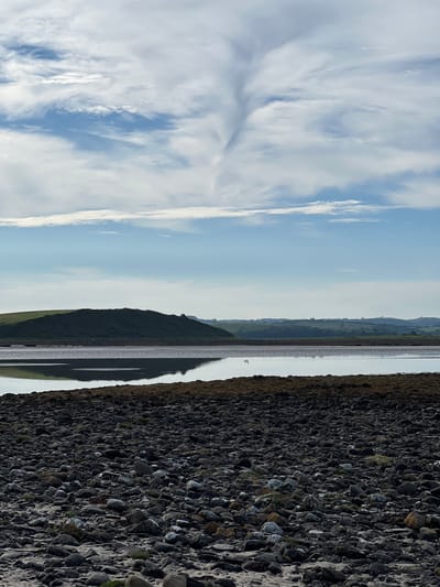 The image shows a landscape view of the coast near Dunuisce, Ireland. In the foreground, a rocky beach is visible, covered with numerous dark-colored stones and some patches of sand and sparse vegetation. Beyond the beach, a body of calm water reflects the sky and the distant landscape. The water appears to be a tidal flat or estuary.
In the middle ground, a long, undulating stretch of land with a prominent, dark green, hilly feature rises. This hill is silhouetted against the sky. Further in the distance, a series of rolling green hills with some structures and trees can be seen, indicating a rural or semi-rural setting. A large flock of birds, possibly waders, are visible in the shallow water near the distant shoreline. A single bird is captured in flight in the middle distance, over the water.
The sky is partly cloudy, with large, wispy white clouds dominating the upper portion of the image, interspersed with patches of blue sky. The lighting suggests it is daytime, possibly late afternoon or early morning given the soft light. The overall scene conveys a sense of natural coastal scenery with a tranquil atmosphere.