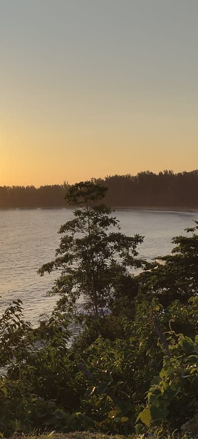 An outdoor, vertical, close-up shot captures a serene beach scene during sunset in Crakmong, Indonesia. The sky is a gradient of pale yellow to a pale, hazy blue. In the mid-ground, a calm, vast body of water stretches horizontally, with gentle waves lapping at a distant tree-lined shore. The water reflects the soft light of the setting sun. In the foreground and mid-ground, dense green foliage and trees fill the frame, partially obscuring the water and shore. A slender, leafy tree stands prominently in the middle ground, its branches reaching upwards. The lighting is soft and diffused, indicative of the golden hour. No people or animals are visible in the scene. The overall impression is one of natural tranquility and peaceful isolation.