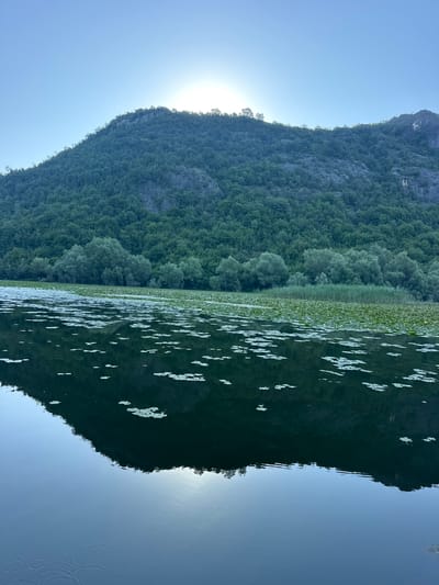 The image captures a serene natural landscape, likely at dawn or dusk, with a sun partially obscured by a forested mountain. The mountain, covered in dense green trees and rocky outcrops, dominates the upper half of the frame. Its reflection is mirrored in the calm water below. The foreground features a body of water, possibly a lake or river, with scattered lily pads floating on its surface. The water is dark and reflects the sky and the mountain, creating a symmetrical composition. The sky is a pale blue, indicating soft light conditions. The scene appears to be set in a natural, unpopulated area, suggesting a location like the Skadar Lake National Park near Riječani, Montenegro, known for its diverse flora and fauna and its tranquil waters. There are no people or man-made structures visible in the image. The overall atmosphere is peaceful and contemplative.