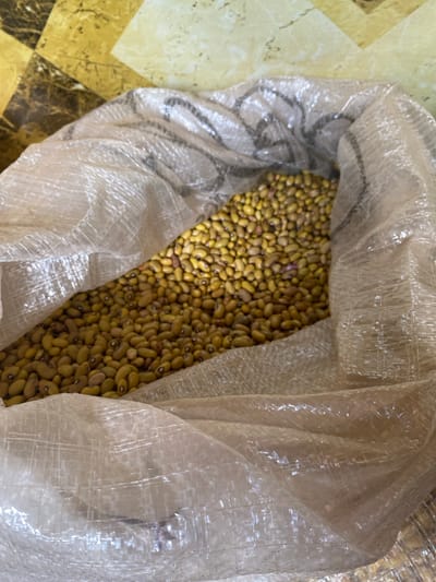 The image shows a close-up, overhead view of a partially opened, translucent woven plastic bag filled with a large quantity of dried, light yellow-brown beans. The bag is resting on a surface with a patterned texture of gold, brown, and beige squares, possibly a countertop or floor. The beans are densely packed and appear to be of uniform size and shape, with some individual beans showing slight variations in color. The bag's texture is visible through the plastic, showing a grid-like weave. The lighting suggests an indoor setting. There are no people or animals visible in the image.