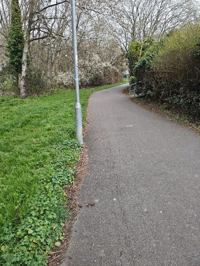 The image displays an asphalt pathway in Swindon, United Kingdom, curving gently towards the right into the distance under an overcast sky. The path surface is dark grey, showing minor wear and scattered small organic debris. On the left side, a vibrant green grass verge transitions into a line of dense, low-lying ground cover, predominantly clover-like plants, bordering the path. Further left stands a mature tree with a thick, ivy-covered trunk, behind which are several deciduous trees with bare branches and some early spring white blossoms. A grey, cylindrical metal lamp post, approximately 3 meters tall, stands vertically on the left edge of the path, roughly one-third of the way from the foreground, exhibiting minor surface markings including a faint blue horizontal stripe. To the right of the pathway, a dense bank of mixed vegetation, including bushes with emerging green leaves and additional white-flowering shrubs, lines the edge. A silver-colored metal handrail is partially visible along the right side of the path, recessed into the foliage. No people or active subjects are present in the scene.