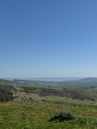 The image depicts an expansive rural landscape within the Galil Tachton Regional Council, Israel, captured from an elevated viewpoint. The upper half of the frame is dominated by a clear, bright blue sky devoid of clouds. The foreground consists of uneven terrain covered with green grass and low-lying vegetation, interspersed with patches of reddish-brown earth. A dark, thin hose or cable lies on the ground in the lower right and center.
The midground features rolling hills adorned with a mix of natural greenery and cultivated areas, including what appear to be orchards or groves with regularly spaced trees. A cluster of dense, dark green trees is visible on the left side of the midground. In the background, a distinct, flat-topped geological formation or cliff face is prominent on the left. A hazy, light blue-grey band stretches across the distant horizon, suggesting either a body of water or very distant terrain. To the right of the background, a town or settlement with numerous structures is visible on a hillside, alongside cultivated fields and greenhouses in the valley below. No individuals, animals, or explicit actions are present within the scene. The environment appears serene and is illuminated by natural daylight.