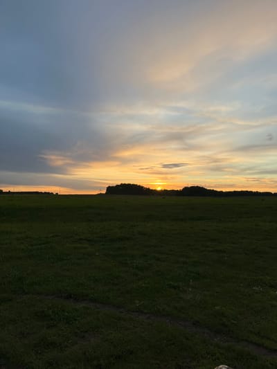 The image depicts a landscape at dusk. The scene is divided vertically, with a field of green grass on the right and a sky filled with clouds on the left. The sun is setting, creating a warm, golden glow in the center of the sky. A line of trees is visible on the horizon between the field and the sky. The field appears to have a path running through it. The location is Новочувашский, Russia. There are no people visible in the image.