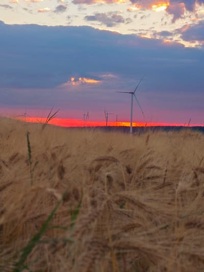 The image depicts a field of dry, golden wheat in the foreground, with a vibrant sunset painting the sky in hues of orange, pink, and purple. Several wind turbines are visible in the middle ground, silhouetted against the colorful sky. A dark line of trees marks the horizon. The scene is characterized by natural elements and renewable energy infrastructure. The location is identified as Lügde, Germany. There are no people or animals present in the image, and no specific actions or interactions are occurring. The environment is an agricultural landscape at dusk.
