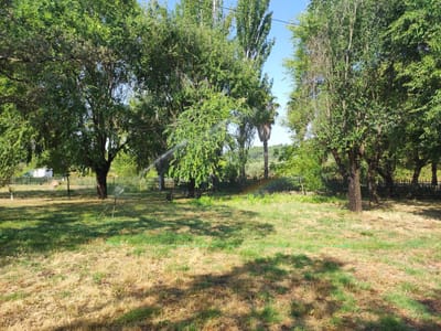 The image depicts an outdoor scene in a grassy area with several trees. A sprinkler is visible in the foreground, actively spraying water, and a faint rainbow is present in the air due to the water mist and sunlight. In the background, there is a fence, a white structure, and a bench under a tree. The sky is clear and blue. The overall impression is a garden or park setting on a sunny day. The location is identified as Cadalso, Spain.