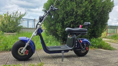 A blue electric scooter is parked on a patterned concrete sidewalk in Valchi Dol, Bulgaria. The scooter is positioned in front of a large, dense green shrub. A small, pink paper cup sits on the back of the scooter seat. In the background, a white fence with blue accents borders a green area. The sky above is overcast.
