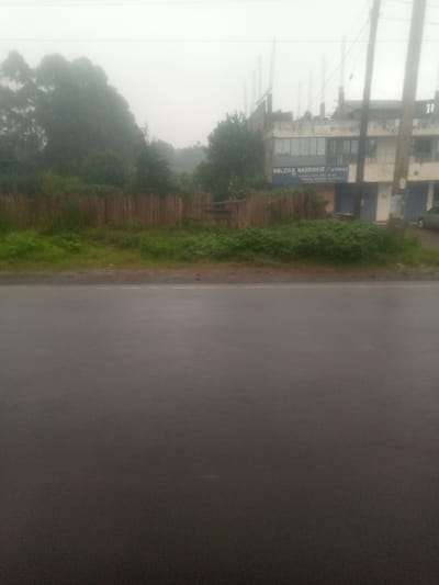 The image displays an exterior scene in Sigona ward, Kenya, characterized by an overcast sky and a wet asphalt road in the foreground, indicating recent precipitation. A single white line delineates the road's edge. Immediately beyond this line lies a strip of green grass and low-lying vegetation. Further back, a wooden fence constructed from vertical logs separates the foreground vegetation from a more densely vegetated area and a building complex.
On the right side of the image, a two-story building features a ground-level commercial establishment identified by a blue sign reading "MILCHA HARDWARE & STORES" and advertising "SUPPLIERS OF ALL TIMBER, PLYWOOD MATERIALS." Several ground-floor shop fronts appear closed, some with roll-down shutters. The upper section of the building exhibits visible rebar, suggesting ongoing or unfinished construction. A light-colored vehicle, possibly a sedan or SUV, is partially visible on the far right, parked near the building. Multiple utility poles with overhead lines ascend vertically along the right side of the frame. The background consists of dense green foliage, including tall trees, which recede into the hazy atmospheric conditions, suggesting hilly terrain. No individuals are visible within the frame.