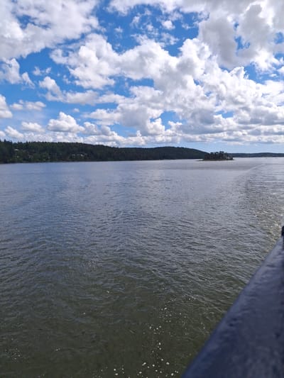 This is a daytime, eye-level photograph of a wide body of water, likely a channel or strait, under a partly cloudy sky. The scene is consistent with the landscape near Södertälje, Sweden.

The upper third of the image is dominated by a bright blue sky partially covered with numerous cumulus clouds of varying sizes and densities, predominantly white with some darker grey undersides.

A dark green, densely forested landmass, likely a shoreline or large island, stretches across the middle distance from the left to the mid-right. Scattered, small residential structures with light-colored roofs are sparsely visible among the trees along this landmass. Further to the right in the mid-distance, a small, treed island is visible. Faint, distant landmasses can be seen on the horizon towards the right.

The lower two-thirds of the image depict the dark blue-grey water surface, which shows visible ripples and patches of sunlight reflection. A prominent white, frothy wake trails diagonally from the far right background towards the mid-ground, indicating the recent passage of a vessel. Numerous small white specks, likely foam or bubbles, are visible on the water's surface, particularly in the foreground and within the wake. The top edge of a dark blue/black, textured metallic railing or vessel hull is visible in the bottom right foreground, suggesting the photograph was taken from a boat or ferry moving through the water. No people or animals are visible in the image.