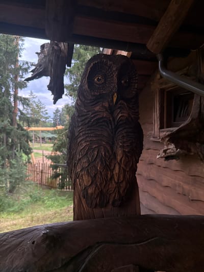 The image is an outdoor, vertical shot featuring a wooden carving of an owl. The owl carving is detailed, with textured feathers and prominent eyes, and appears to be mounted on a wooden beam. The carving is dark brown and made of wood.

In the background, a lush green landscape with pine trees is visible under a cloudy sky. A wooden fence can be seen in the middle ground, and beyond it, there are hints of a park-like setting with some structures. The overall impression is one of a rustic, natural environment, possibly a park or a backyard in a wooded area. The lighting suggests it could be daytime, with overcast conditions. The scene appears to be calm and tranquil, with no people or specific activities depicted. The location is identified as Sosnovka, Russia.