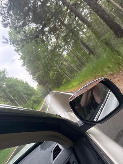 This is a first-person perspective shot from inside a vehicle driving on a wet, winding road through a forest. The trees, predominantly pine and birch, line both sides of the road, creating a canopy overhead. The road surface appears to be asphalt and is reflecting the overcast sky, indicating it is raining or has recently rained. A side-view mirror of the car is visible on the right side of the frame, reflecting the passenger's legs and feet. The interior of the car, including the dashboard and an air vent, is also visible in the lower portion of the image. The location is identified as Savvateevka, Russia.