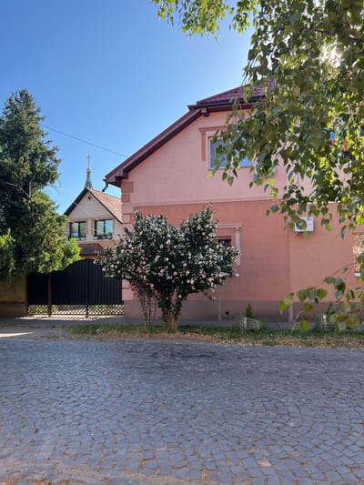 The image captures a street scene in Berehove, Ukraine, characterized by a cobblestone road in the foreground. A pink, two-story building with a red-tiled roof occupies the right side of the frame. Adjacent to it, a smaller, older building with a similar red-tiled roof and a green-domed steeple topped with a cross is visible behind a black metal gate and a lush green tree. A flowering bush with white blossoms stands in front of the pink building. Overhanging branches with green leaves partially obscure the sky and the top portion of the buildings. The overall atmosphere suggests a sunny day.