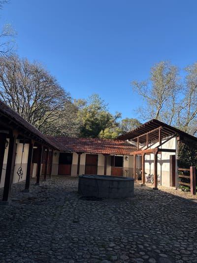 The image depicts an outdoor courtyard surrounded by rustic structures under a clear blue sky, consistent with a rural or semi-rural setting in Huasca de Ocampo, Mexico.
The ground of the courtyard is paved with irregular dark grey cobblestones, showing minor wear and some sparse vegetation. Centered in the foreground is a circular well or fountain structure, constructed from stacked, rough-hewn dark grey stone blocks. A dark, coiled hose or cable is resting on the top edge of this structure.
Two main building sections frame the courtyard. To the left, a single-story structure features a covered walkway supported by dark wooden posts and beams. The building has white or light beige walls and a red-tiled roof. Multiple openings are visible, some fitted with dark wooden double doors, others appearing as open windows. A horse bridle or similar tack is suspended from one of the wooden posts. Wall-mounted lights are affixed to the facade. This building extends towards the background, where additional dark wooden doors and windows are visible.
To the right, a more open structure, possibly an outdoor common area or patio, is present. It has white or light beige walls and a slatted wooden roof structure supported by dark wooden beams and posts. Beneath this open section, a dark metal bench or outdoor furniture is partially visible. The far right wall of this structure is partially covered by green climbing foliage, and a short wooden fence section, composed of vertical posts and horizontal planks, extends from it.
The background features numerous trees against a bright blue sky. Some trees are deciduous with bare branches, while others exhibit green foliage. The scene is illuminated by natural sunlight, casting distinct, elongated shadows from the structures and trees across the cobblestone pavement, indicating a low sun angle. No people or active subjects are visible within the frame.