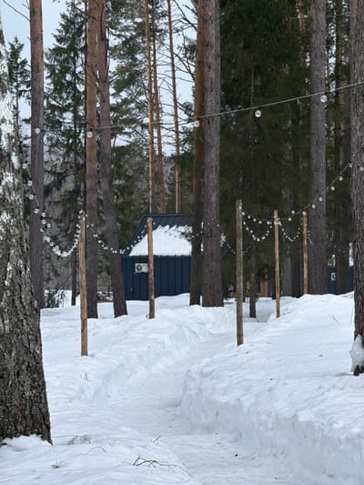 The image depicts a winter outdoor scene in a forested area within Mishkino, Russia, under an overcast sky. A cleared, winding pathway covered in a thin layer of packed snow extends from the foreground into the mid-ground, flanked by snowbanks approximately 0.5 to 1 meter high. Several vertical, debarked wooden posts line both sides of the pathway. Strings of clear, spherical lights, some appearing ice-covered, are suspended between these posts and various tall coniferous trees (pines/firs) with dark trunks. A birch tree with peeling white bark is visible on the far left. In the mid-ground, a dark-colored, possibly dark grey or blue, cabin-style building with a steeply pitched, snow-covered roof is present. An outdoor air conditioning unit is mounted on its exterior wall. Another similar building is partially visible in the background. The ground beyond the pathway is uniformly covered in deep, undisturbed snow. No individuals or animals are present, and no actions or interactions are depicted.