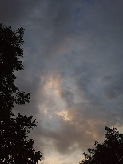 The media file depicts a silhouette of trees against a cloudy sky at dusk. The scene is set in Beşik-Jon, Kyrgyzstan. The sky is filled with dark, heavy clouds interspersed with patches of lighter, illuminated clouds, suggesting either the remnants of a sunset or the approach of a storm. The trees, rendered in dark silhouette, are on the left and lower right edges of the frame, with their leaves and branches clearly defined against the sky. The overall mood is dramatic and somewhat somber, evoking the transition from day to night under a dynamic sky. There is no visible text in the image.