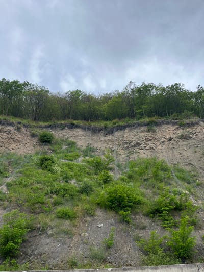 The image shows a steep, rocky slope covered with sparse vegetation. A wire mesh is draped over the slope, presumably to prevent rockfalls. The top of the slope is lined with trees. Above the trees is an overcast sky. Based on the context, this slope is located in Gospodintsi, Bulgaria.