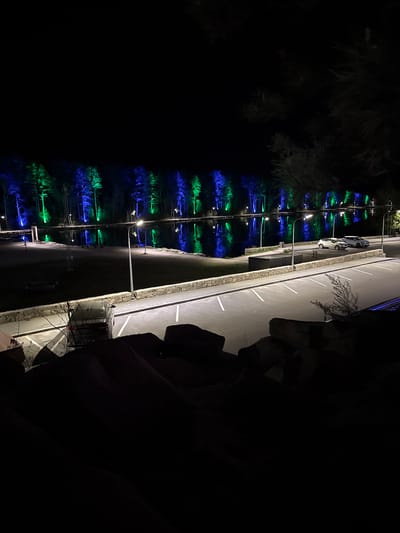 This image depicts a night scene along a road in Dom Otdykha Zolotoy Plyazh, Russia. The road runs horizontally across the frame and has marked parking spaces. Streetlights illuminate the road. A row of trees lines one side of the road, alternatingly illuminated with blue and green lights. A dark, undefined object is present on the right side of the frame. Cars are parked in some of the parking spaces along the road. The area on the left of the frame is dark and partially obscured by foliage.