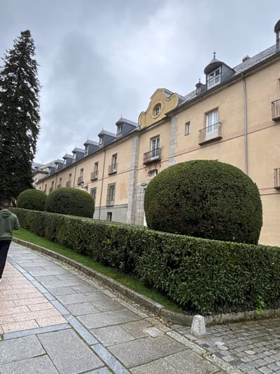 The image displays an overcast outdoor scene in Real Sitio de San Ildefonso, Spain, focusing on a multi-story building and an ascending pathway. The building, positioned prominently in the background, features a light beige facade with grey stone trim, a grey slate roof, and numerous dormer windows, many topped with finials. Several windows are equipped with small iron balconies. A prominent decorative architectural element, resembling a pediment with a central round window, is visible on the upper facade. In the foreground, a paved pathway, constructed from grey and light pinkish-grey rectangular stones with a central darker stripe, angles upwards from the lower left. To the right of this path, a sloped grass bank is bordered by a low, meticulously maintained dark green hedge. Behind this hedge, three large, spherical topiaries are visible. A tall, slender coniferous tree stands on the far left, partially cropped at the top. A single male individual, seen from behind, wearing a dark green hooded sweatshirt and dark trousers, walks away from the viewer on the paved path in the lower left. A small, light-colored stone bollard and a square metal grate are present on the paved surface in the lower right, adjacent to a section of cobblestone paving. The sky is uniformly grey with cloud cover.