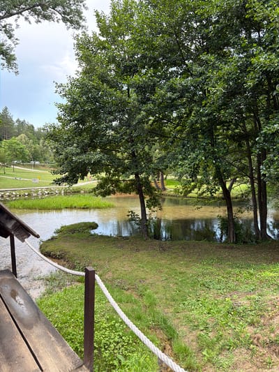 This image depicts a scenic park or natural setting with a body of water, likely a river or stream, flowing through it. Lush green grass covers the banks, and mature trees with dense foliage provide shade. In the foreground, a wooden structure, possibly a bridge or viewing platform, is visible with a thick white rope acting as a railing. The water appears calm, reflecting the surrounding trees and sky.
Further in the background, there's a well-maintained lawn area with what appears to be a paved path and a few cars parked in the distance. A person can be seen walking on the path. The presence of recreational facilities suggests this is a public park or recreational area. The overall ambiance is peaceful and natural.
The lighting and the lush greenery indicate it is daytime, likely late morning or early afternoon. The sky is partly cloudy. The scene suggests a pleasant day for outdoor activities.
The location context provided is Ćusine, Bosnia and Herzegovina, which hints at the geographical setting of this picturesque landscape. There is no visible text in the image.