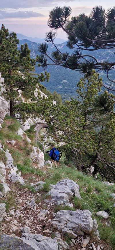 The image depicts a rocky, mountainous terrain with sparse vegetation, likely in Gornje Polje, Montenegro, as suggested by the presence of Mediterranean pine trees and the distant mountainous landscape characteristic of the region. In the mid-ground, a person wearing a blue jacket and a backpack is walking along a narrow dirt path. The person appears to be holding hiking poles. The path is surrounded by large grey rocks, green grass, and pine trees. The background reveals a vast expanse of rolling hills and mountains, fading into a hazy sky with soft, pastel-colored clouds, indicative of either sunrise or sunset. The overall scene conveys a sense of rugged natural beauty and outdoor activity.