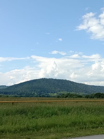 The image depicts a scenic landscape with a large, densely forested hill dominating the background. The hill is covered in a dark green carpet of trees, with lighter green patches of vegetation and some scattered buildings visible on its lower slopes. A clear blue sky with scattered white clouds stretches across the upper portion of the image.
In the foreground, a bright yellow pipe runs horizontally across the frame, supported by dark posts. This pipe is positioned above a field of tall, green grass, with some wildflowers interspersed. The field appears to be a meadow or pasture. The overall impression is one of a rural or semi-rural environment, possibly on the outskirts of a town or village.
While the image is labeled as being in Ust-Kishert, Russia, the visual information alone does not provide specific landmarks or architectural details that would definitively confirm this location. However, the natural landscape with the forested hill and open fields is consistent with many rural areas in Russia.