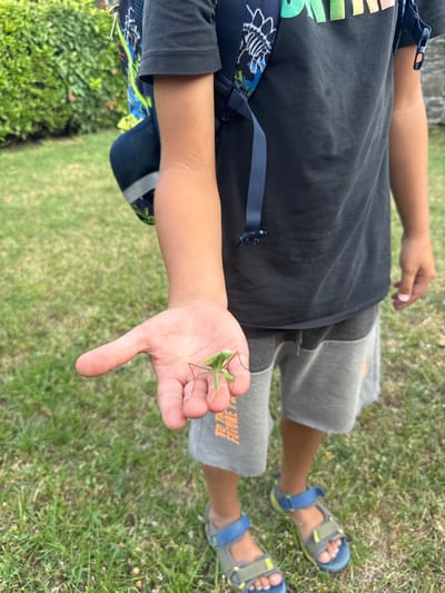 The image shows a close-up of a child's arm and hand, holding a small green praying mantis. The child is wearing a dark t-shirt and grey shorts, with blue and grey sandals on their feet. A backpack with a blue and white pattern is visible on the child's left side. The background consists of green grass and some foliage, suggesting an outdoor setting, likely during the daytime given the lighting. The child's hand is extended, and the praying mantis is perched on their palm, facing towards the child's fingertips. The overall mood appears casual and curious, with the child examining the insect. There is faint text visible on the child's right leg of their shorts that appears to be orange and says "TO THE FUTURE". The image was taken in Balerna, Switzerland.