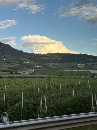 The image depicts a landscape scene, likely taken from a moving vehicle due to the blurriness of the foreground guardrail. In the foreground, a lush green field with numerous white stakes is visible. Beyond this field, a wide, flat green structure, possibly a greenhouse or agricultural building, stretches across the midground. Behind the green structure, a hillside is covered in dark green vegetation, dotted with scattered white buildings. Higher up the hillside, more terraced green fields are apparent. In the distance, a large, white cumulus cloud formation dominates the bright blue sky, casting a soft glow on the upper slopes of the mountain. The scene suggests a rural or agricultural area, possibly in or near Mezzolombardo, Italy, given the architectural style and the terraced farming common in the region. There are no people or animals clearly visible in the image.