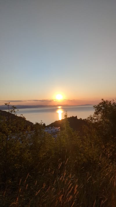 A wide-angle, vertical, medium shot captures a tranquil sunset over the Black Sea. The sun, a bright orb of yellow and white, hovers just above the horizon, casting a shimmering golden path across the calm water. A line of distant mountains forms a silhouette against the soft hues of orange and pink in the sky, with a few scattered clouds adding texture. In the middle ground, a few buildings with white facades are nestled amongst the dark green foliage of trees on a hillside. The foreground is dominated by the blurred shapes of overgrown grass and trees, with some of the grass catching the warm, late-day light. The overall impression is one of peaceful natural beauty.