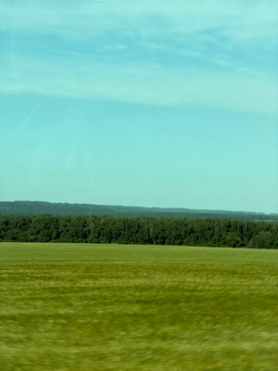 The image shows a vast, blurry green field in the foreground, suggesting movement. Beyond the field, a dense line of dark green trees forms a natural horizon. The sky above is a clear, light blue with faint white clouds. The overall impression is that of a rural landscape viewed from a moving vehicle. The location is identified as Lebedevka, Russia.
