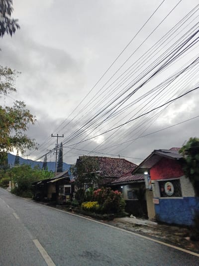 The scene depicts a rural street in Pea Reang District, Cambodia, under an overcast sky. In the foreground, an asphalt road with a faded white broken line on its left edge curves slightly uphill and recedes into the distance.

Along the right side of the road, a series of single-story structures are visible. The leftmost building on this side is a dark, modest structure, possibly a small shop, featuring an open front with a visible interior light or white signage and a corrugated metal roof. To its right, a house with a reddish-brown tiled roof and light-colored walls is partially obscured by dense green foliage. Further right, another house presents a red-orange gable roof, light-colored walls with a distinct blue lower section, and a circular emblem or design prominently displayed on its wall. Landscaping in front of these houses includes green shrubs with accents of red and yellow foliage.

On the left side of the road, dense green trees and bushes line the ascent. A wooden utility pole with multiple crossarms stands prominently on the left, supporting a dense cluster of black electrical or communication wires that traverse diagonally across the upper portion of the frame. In the background, distant mountains are faintly visible through a light atmospheric haze, partially obscured by the overcast sky and some tall, slender trees. The sky is entirely covered with uniform grey clouds. No individuals are present in the image.