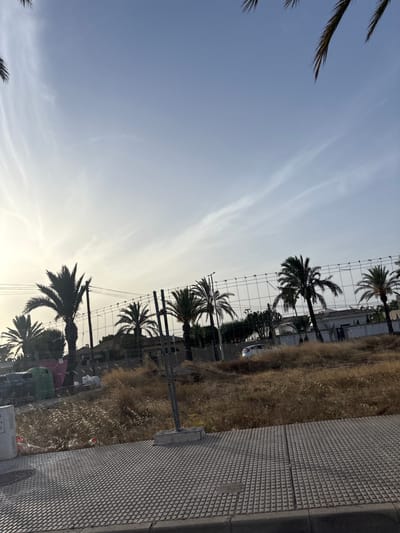 This image depicts a street scene in Urbanización Cabo Roig, Spain, characterized by a clear blue sky with wispy clouds and the silhouettes of palm trees. A wire fence runs horizontally across the midground, separating a dry, grassy field from a paved sidewalk in the foreground. Behind the fence, several palm trees stand out against the sky, with some vegetation and buildings visible in the distance. On the left side of the image, near the fence, are two large recycling bins, one green and one pink. A white car is partially visible behind the fence, near the dry vegetation. The sidewalk in the foreground is made of textured concrete tiles. The lighting suggests it is either early morning or late afternoon, with the sun casting long shadows.