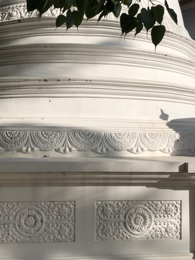 The image shows a close-up of a white, ornate structure, likely a stupa or temple, in Pilana, Sri Lanka. The foreground is dominated by the layered, curved surface of the structure, which features intricate carvings. Along the middle section of the structure, a decorative band of repeating floral and leaf motifs is visible, rendered in relief. Below this band, rectangular panels with similar floral carvings are set into the surface. The upper portion of the structure shows smooth, curved layers, and a branch with dark green leaves hangs into the frame from the top, casting shadows. The overall impression is one of detailed architectural artistry against a bright, sunny backdrop, suggesting an outdoor setting in a location known for its religious or cultural landmarks.
