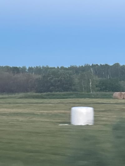 The image captures a rural scene in Zimin, Russia, with a clear blue sky dominating the left side. A line of trees forms a dark green backdrop to the right of the sky. In the mid-ground, a white object, possibly a roll of hay wrapped in plastic, stands out against the green field. The field itself appears to be a grassy meadow, with visible rows suggesting it might be a cultivated pasture or farmland. The overall impression is one of a calm, open landscape under natural daylight, likely late morning or early afternoon given the brightness of the sky. There are no visible people or text in the image. The scene evokes a sense of peaceful, agricultural surroundings.