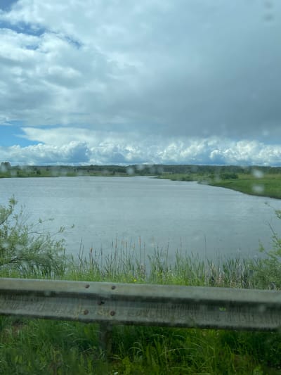 The image shows a view of a body of water from behind a guardrail. The sky is overcast with cumulus clouds. The body of water is flanked by vegetation on both sides, with cattails visible along the near shore. It appears to be raining. The guardrail is gray and shows signs of rust. The location is unknown and not possible to infer from the image.