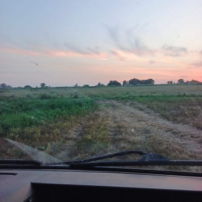 The image depicts a view from inside a vehicle, looking through the windshield at a rural landscape. The time of day appears to be dusk or dawn, with a soft, pastel-colored sky featuring wispy clouds. A dirt road or track cuts through a field of green grass and dry vegetation, leading towards a line of trees on the horizon. The foreground shows the interior of the vehicle, including the dashboard and windshield wipers. The location is identified as Novyi Burtiuk, Russia, suggesting a rural or semi-rural setting within that region. There are no people or specific actions captured in the scene, and the focus is on the natural environment and the perspective from the vehicle.