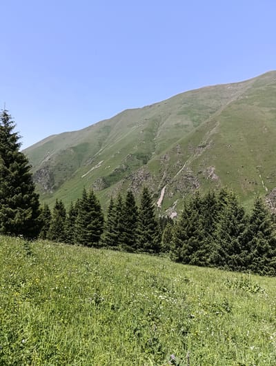 The image depicts a serene mountain landscape in Ak-Tuz, Kyrgyzstan. In the foreground, a lush green meadow is dotted with a variety of wildflowers, creating a vibrant carpet of colors. A dense line of coniferous trees, likely spruce or fir, stands tall along the edge of the meadow, their dark green foliage contrasting with the lighter greens of the grass and the distant mountain.
Beyond the trees, a vast, gently sloping mountain rises majestically. Its slopes are covered in green vegetation, with patches of exposed rock and soil, suggesting a natural, untamed environment. The mountain is characterized by subtle undulations and contours, with what appear to be dry creek beds or trails winding down its sides.
The sky above is a clear, uninterrupted expanse of light blue, indicating a fair weather day. The overall impression is one of tranquility and natural beauty, with the elements of meadow, forest, and mountain harmoniously coexisting under a bright sky.