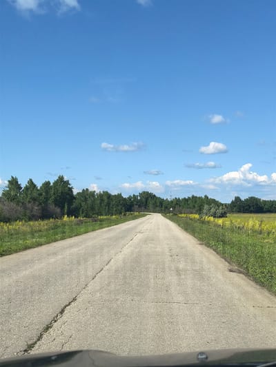 A paved road stretches into the distance under a bright blue sky with scattered white clouds. The road appears aged and cracked. To the left and right of the road are fields of green grass and yellow wildflowers, bordered by a dense line of green trees. A traffic sign, a white triangle with a red border and a black symbol, is visible in the distance on the left side of the road, near the tree line. The image appears to be taken from inside a vehicle, with the dashboard visible at the bottom. The environment suggests a rural or semi-rural setting.