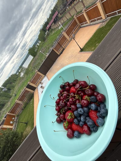 A light blue bowl filled with fresh summer berries is prominently displayed in the foreground, resting on a dark brown wooden-slatted surface, likely a deck or patio. The bowl contains a vibrant assortment of deep red cherries with their green stems, plump dark blueberries, and bright red strawberries.
The scene captures an outdoor setting, offering a panoramic view of a residential property and the natural landscape beyond. The property features well-maintained green lawns, light-colored brick paving, and structures with brick walls and brown wooden fences or gates. A decorative black lamppost with two globe lights stands within the property grounds.
In the background, a wide body of water, possibly a lake or large river, stretches into the distance. The far bank is lined with dense green trees. The sky above is largely covered with soft, diffused white and grey clouds, indicating an overcast or partly cloudy day. The natural lighting suggests daytime, likely late morning or afternoon.
The image is devoid of people or visible text. It conveys a serene atmosphere, highlighting fresh produce against a backdrop of a well-kept waterside property in Molodezhnyi, Russia, evoking a sense of calm and natural enjoyment.