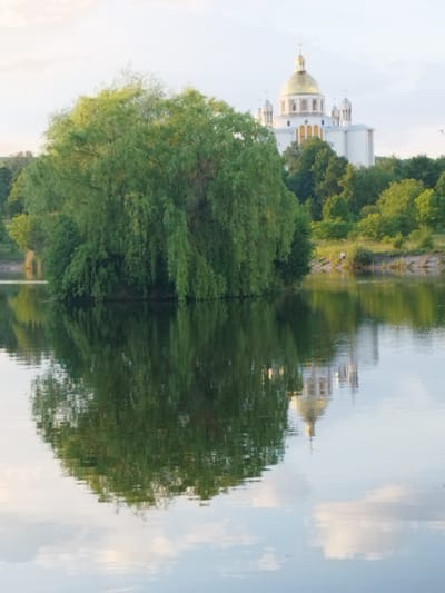 A large willow tree with drooping branches dominates the left side of the frame, its dense green foliage reflected in the calm water of a lake. In the background, a white church with a golden dome and multiple smaller domes stands atop a hill, surrounded by lush green trees. The church's reflection is visible in the water. The sky above is a pale blue with scattered clouds. On the far bank of the lake, a single person is visible walking. The scene appears to be part of the St. Nicholas Church complex in Novyi Rozdil, Ukraine.