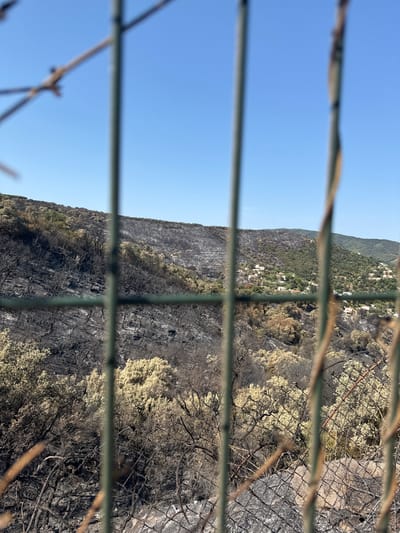 The image shows a view of a hillside in Mas Ambròs, Spain, that has been affected by a wildfire. The foreground is dominated by a blurred wire fence. Beyond the fence, the landscape is scarred by fire, with large areas of blackened earth and burnt trees. Patches of lighter vegetation, possibly recovering or unburnt shrubs, are scattered across the hillside. In the distance, several houses with red roofs are visible nestled among green hills, suggesting the proximity of a residential area to the burnt zone. The sky is clear and blue, indicating a sunny day. The scene conveys a sense of recent destruction and ongoing recovery in the natural environment.