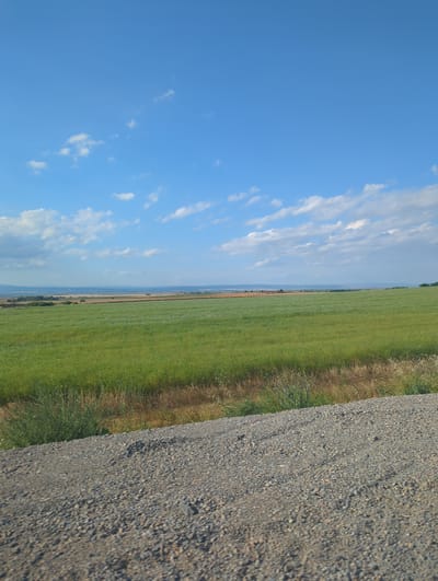 The media file displays a landscape scene with a clear blue sky dotted with white, fluffy clouds. The majority of the frame is occupied by a vast, vibrant green field, suggesting a rural or agricultural setting. To the right of the field, a textured, gravelly surface, likely a road or pathway, runs diagonally through the image. The field extends towards a distant horizon, where faint hills are visible under the hazy sky. The sun appears to be shining, casting a bright light on the scene, and the presence of green grass and blue sky indicates pleasant weather, likely during the daytime. There are no people or distinct objects in the image, focusing solely on the natural landscape. The image is oriented vertically, with the sky at the bottom and the ground at the top, suggesting it was captured with a camera held in portrait mode and then rotated. The overall impression is one of open space and tranquility in a rural environment, possibly in Chargan, Bulgaria, as suggested by the location context.