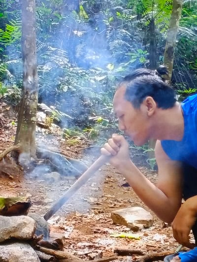 The image captures a man in a lush, green forest, likely in Taungpi, Myanmar (Burma), concentrating on building or sustaining a fire.
**Subjects:** The central subject is an adult man, shown in profile, facing towards the right side of the frame. He has dark hair tied back in a small bun and is wearing a blue sleeveless top. His expression is focused and determined as he performs a task.
**Objects:** The man is holding a long, slender wooden stick, which he is using as a blowpipe. The end of this stick is directed into a small, makeshift fire pit on the ground, outlined by several rocks. Wisps of white-blue smoke are clearly visible rising from this area and dispersing into the air. The ground is covered with a natural layer of dried leaves, twigs, and dirt. In the background, tall tree trunks are visible, along with dense foliage.
**Scene/Setting:** The scene is an outdoor natural environment, characteristic of a forest or jungle. The background is dominated by a rich tapestry of green vegetation, including ferns and broad-leafed plants, suggesting a tropical or subtropical climate. The ground is uneven and natural, covered with organic debris.
**Activity:** The man is actively blowing through the wooden stick, aiming the airflow into the fire pit. This action is a traditional method for fanning flames or igniting kindling by providing oxygen to embers, indicating he is either starting a fire or keeping it alive.
**Notable details:** The time of day appears to be daytime, with natural light filtering through the canopy. The smoke is a dynamic element, adding movement and highlighting the man's activity. His posture suggests engagement and practical skill in a wilderness context. There is no visible text in the image.