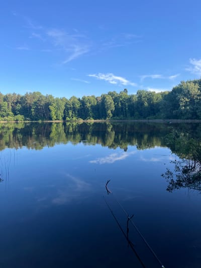 The image displays a serene natural landscape, with a calm body of water flanked by a lush green forest under a clear blue sky. The scene is oriented such that the far bank, covered with dense trees, runs horizontally across the middle of the frame. Above the treeline, a vibrant blue sky is adorned with scattered, wispy white clouds.

The lower portion of the image is occupied by the tranquil water, which acts as a mirror, flawlessly reflecting the sky, clouds, and the verdant trees. In the lower right foreground, two fishing rods are visible, extending into the water. One rod features a distinct green and white float or indicator, while the other has a red tip, indicating they are actively set for fishing. Their reflections are also clearly visible on the water's still surface.

The setting suggests a peaceful daytime moment, likely morning or afternoon, characterized by bright sunlight and fair weather. The extensive forest and the calm water evoke a sense of quietude and relaxation in a natural environment. The location context is Krasnyi Jar, Russia. No visible text is present in the image.