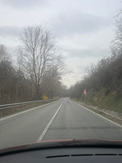 The scene depicts a two-lane asphalt road, viewed from inside a vehicle, located near Marikostinovo, Bulgaria. The road extends forward, gently curving left into the distance, under a uniformly overcast, light grey sky.
The road surface is dry asphalt, marked by a broken white center line and solid white lines delineating the shoulders. The lower section of the image shows the reddish-brown top and black vents of the vehicle's dashboard. On the left side of the road, a metal guardrail runs parallel to the pavement, behind which is an embankment transitioning into a dense stand of bare deciduous trees, including one prominent, tall specimen. A patch of yellow flowering shrubs is visible further down the left side, amidst the bare vegetation. On the right side, the road is bordered by a rising earthen slope covered with bare deciduous trees and shrubs. A concrete drainage ditch is present at the base of this slope. Approximately mid-distance on the right, a triangular warning sign depicting two vehicles (likely indicating a width restriction or similar hazard) is mounted on a pole, with a circular regulatory sign below it. No people, other vehicles, or animals are present in the frame. The bare trees indicate a late autumn, winter, or early spring seasonal context.