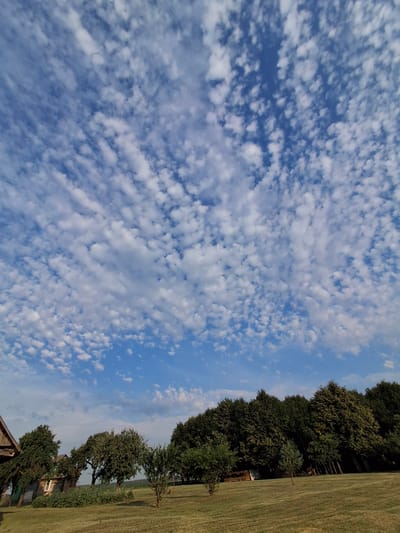 The image depicts a pastoral scene under a sky filled with scattered cumulus clouds. The foreground is a gently sloping field of dry, mown grass. A line of mature trees, predominantly deciduous, forms a dense dark green border across the middle ground, with some lighter-colored foliage suggesting they might be lime trees or similar. To the left, a rustic wooden structure, appearing to be a house or shed with a visible window and a sloping roof, is partially obscured by trees and dense greenery. In the distance, beyond the treeline, a flat, green landscape is visible. The sky is a bright blue, punctuated by numerous small, white clouds arranged in streaks and patches. The scene is devoid of any human presence or animal activity, conveying a sense of tranquility and rural isolation within the Дубровенскі сельскі Савет, Belarus.