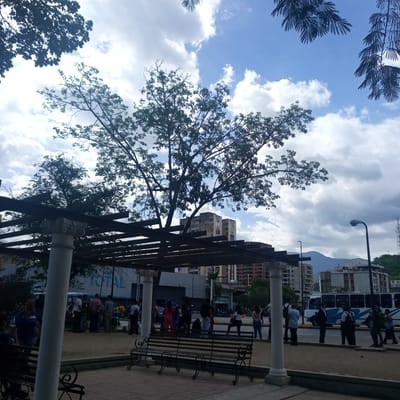 The image depicts a public outdoor space in El Limón, Venezuela, likely a park or plaza, characterized by a partially covered seating area with decorative columns and wooden beams. A large tree with intricate branches dominates the center, silhouetted against a cloudy blue sky. In the background, urban elements are visible, including multi-story buildings and a white bus with dark windows moving along a street. Several people are dispersed throughout the scene, some seated on benches, others standing and interacting. The ground appears to be paved with bricks in the foreground.