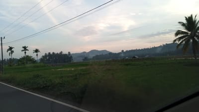 This image captures a rural landscape at dawn or dusk, likely in Uleejalan, Indonesia. A paved road with a white line runs diagonally from the lower left corner towards the center. On the left side of the road, there are three prominent palm trees standing tall. Beyond the trees, a dense line of taller palm trees forms a dark green backdrop. In the mid-ground, a lush green field stretches across the scene, with some areas appearing to be rice paddies. Several small structures, possibly houses or sheds, are visible amidst the trees and fields. In the far distance, rolling hills are covered in vegetation, with a hazy atmosphere suggesting moisture or mist. The sky above is a pale blue, streaked with wispy white clouds, and hints of pink and orange near the horizon indicate the low position of the sun. Overhead, several power lines stretch across the frame, supported by a utility pole on the left. The overall impression is one of tranquility and natural beauty in a rural Indonesian setting.