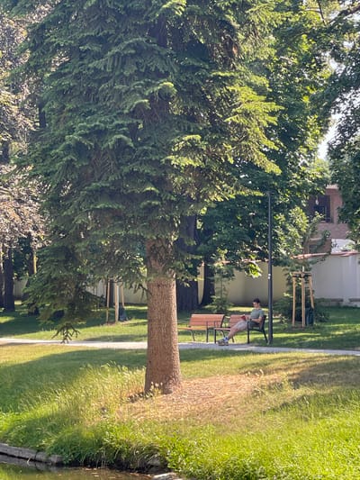 A young man wearing a green t-shirt and light-colored shorts sits on a park bench on a sunny day, engrossed in reading a red book. He is positioned to the right of a large evergreen tree and a lamppost, with his legs crossed. The bench is made of wood and metal. In the background, a white building with a red-tiled roof is visible, along with other trees and shrubs. The foreground features a body of water and lush green grass. The scene appears to be in a park in Stupava, Slovakia, indicated by the presence of a water feature, well-maintained greenery, and architectural style visible in the background.