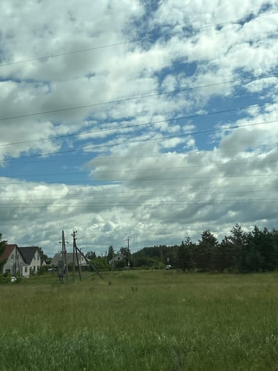 The image depicts a rural landscape under a cloudy sky, likely in the Malevichsky Selsoviet, Belarus. In the foreground, a tall, green grassy field stretches across the frame. Several power lines are visible, running horizontally across the sky, creating a grid-like pattern. In the mid-ground, several houses with pitched roofs are situated amidst trees and vegetation. One house on the left appears to be gray with white trim, while others further back are less distinct. There are also utility poles visible, including one with what appears to be electrical equipment attached. The background consists of a dense line of dark green trees, forming a forest or woodland. The overall scene suggests a quiet, sparsely populated rural area.