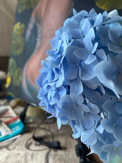 In Lipniki, Russia, a close-up, eye-level shot focuses on a cluster of light blue hydrangea flowers. The flowers, with their delicate, overlapping petals, are the primary subject, filling the right half of the frame and extending into the foreground. Behind the flowers, a blurred painting is visible, depicting a nude figure against a backdrop with hints of green lily pads. The painting rests on an easel, which is partially visible. To the left of the flowers, in the out-of-focus background, are various objects including a teal and white package or book, a white tube, and other indistinct items scattered on a textured surface that appears to be a rug or blanket. The overall lighting is soft, highlighting the textures of the hydrangea petals and creating a gentle depth of field that separates the foreground flowers from the background elements.